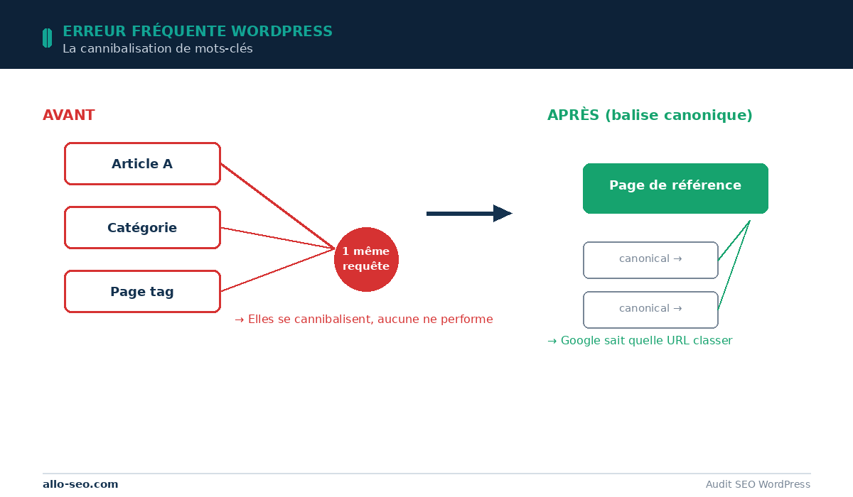Cannibalisation de mots-clés sur WordPress et résolution par balise canonique