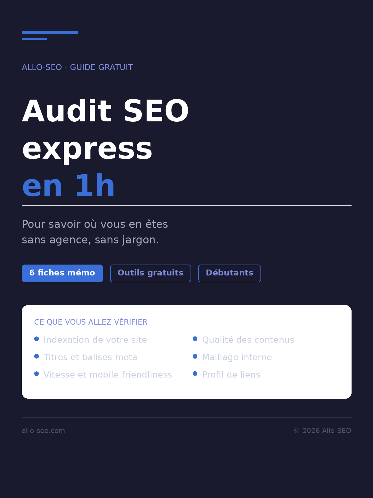 Audit SEO express en 1h pour savoir où vous en êtes sans agence